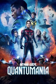 ant man et la guepe quantumania 1825 poster