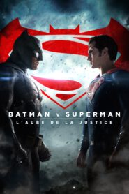 batman v superman laube de la justice 3028 poster
