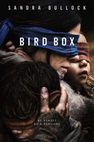 bird box 3368 poster