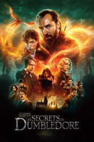 les animaux fantastiques les secrets de dumbledore 3152 poster