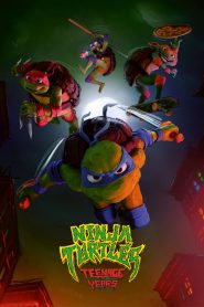 ninja turtles teenage years 657 poster