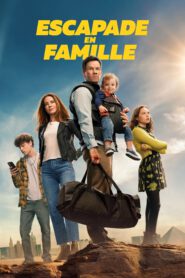 the family plan 3520 poster