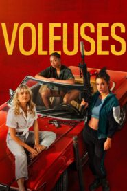 voleuses 2877 poster